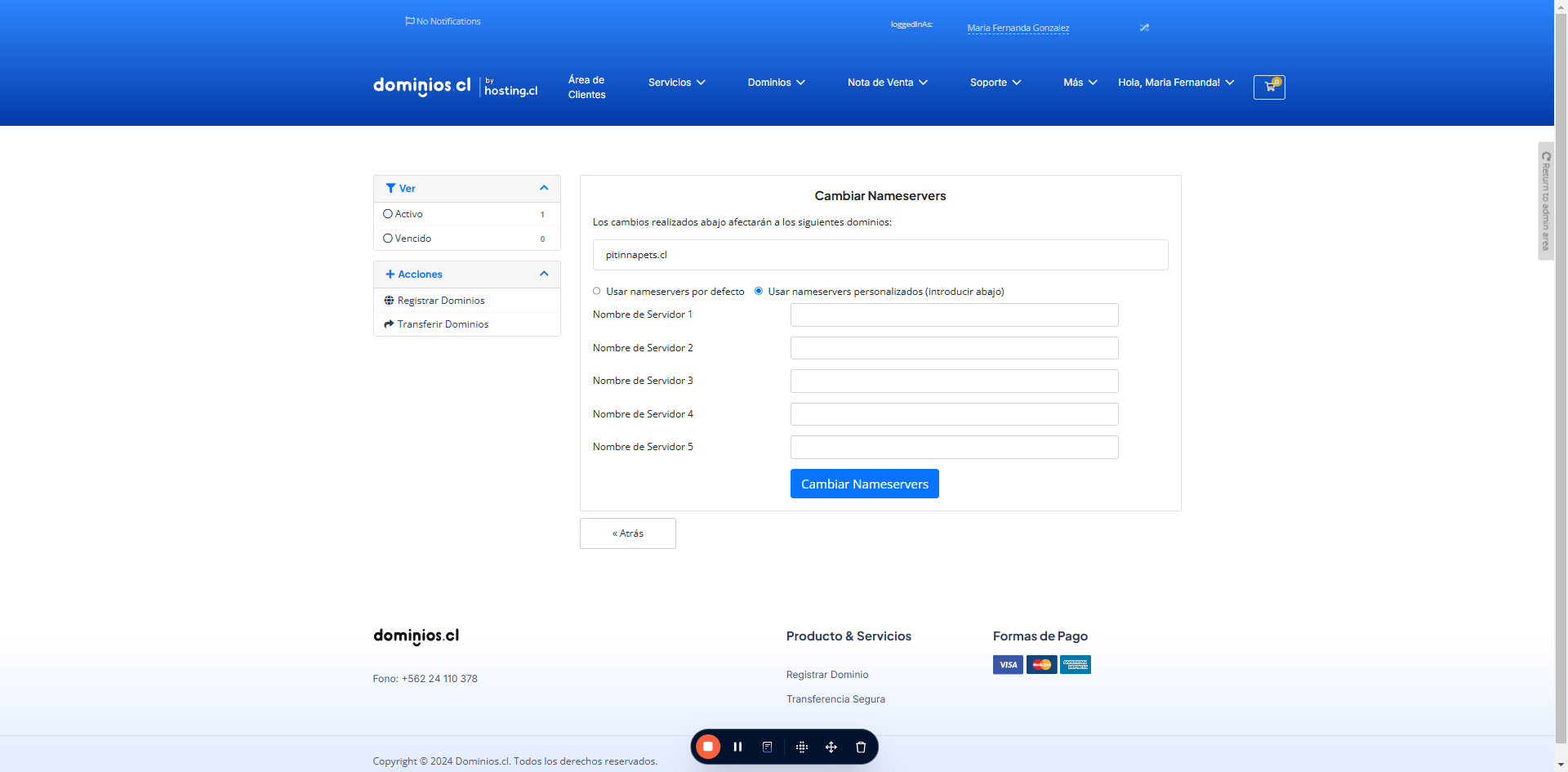 Para ingresar DNS personalizados, y no utilizar los que por defecto entrega Dominios.cl, debe seleccionar la opción:

Usar nameservers personalizados (introducir abajo)