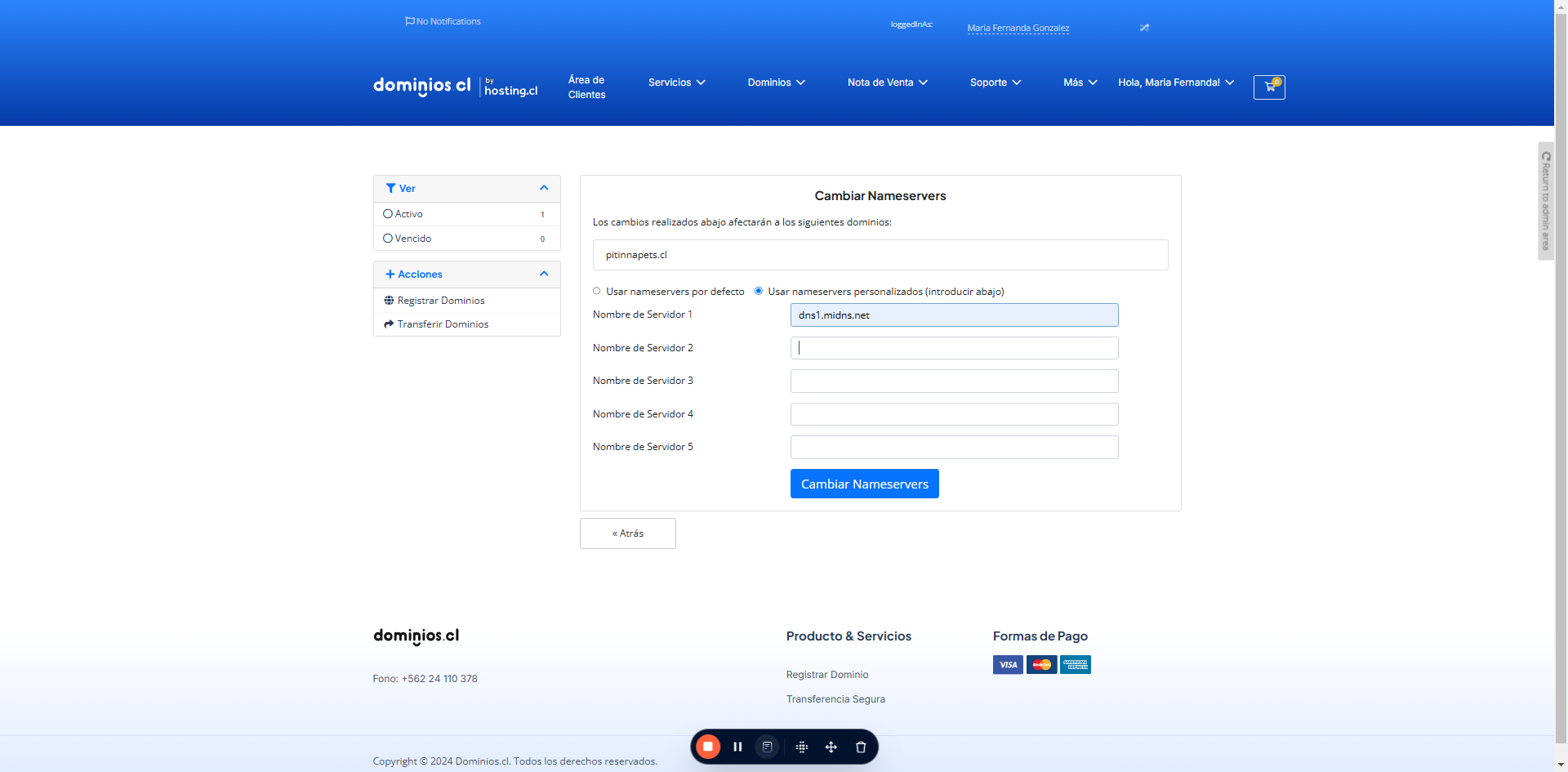 Escribir todos los DNS que indicó su proveedor de hosting