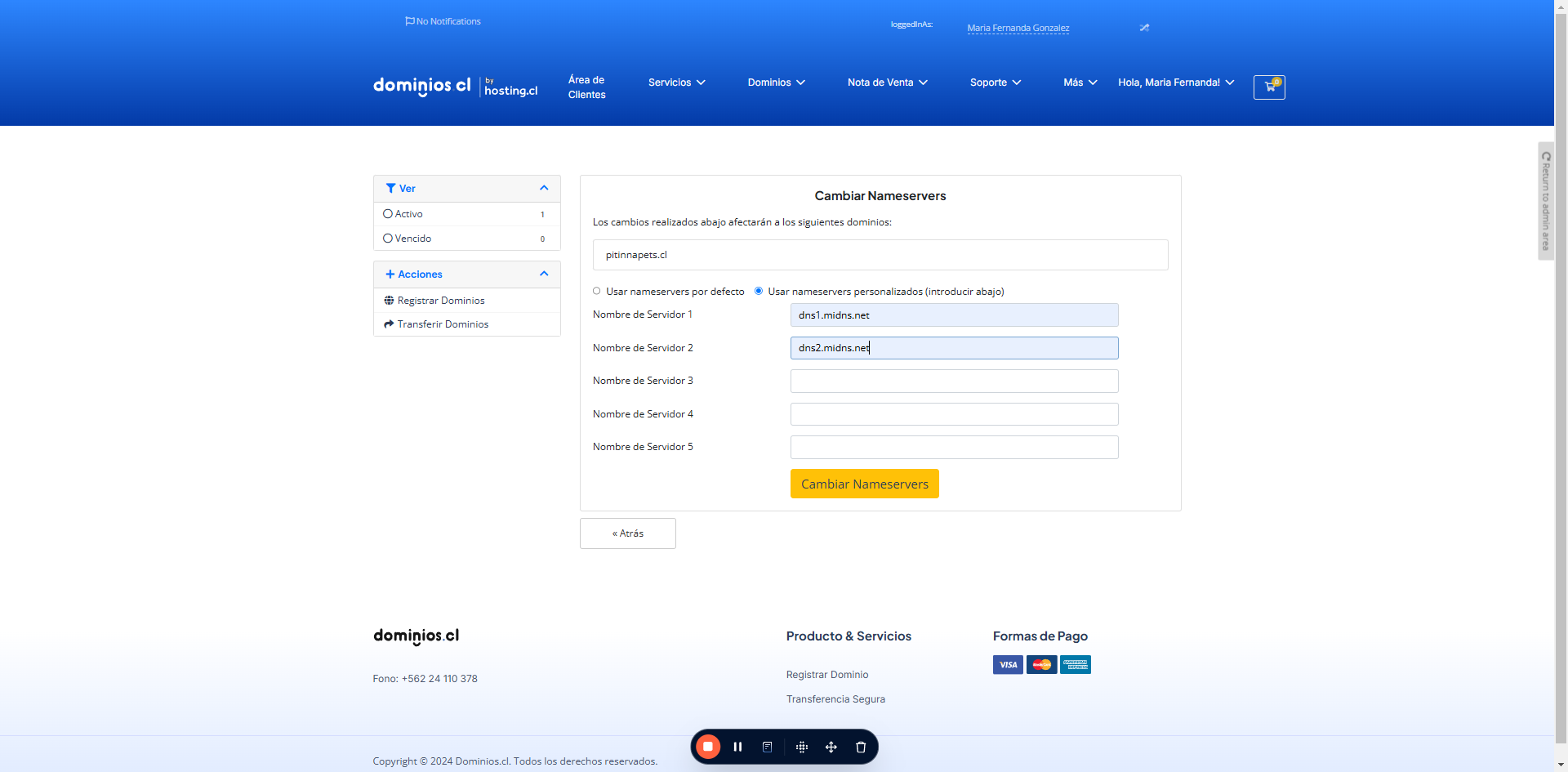 Para terminar y guardar los datos, haz clic en  "Cambiar Nameservers"